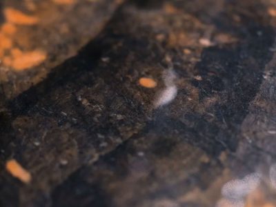 Kl Akron Steam Shower 7